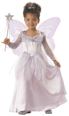 Butterfly Princess Costume