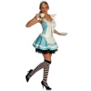Tea Party Hostess Costume