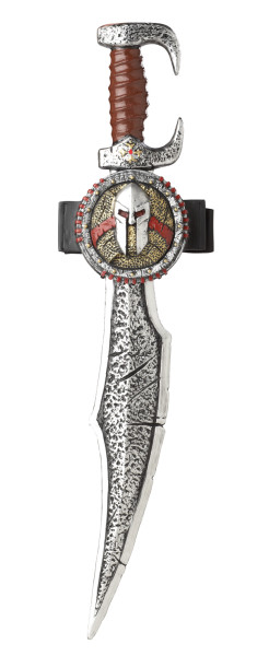 Spartan Sword and Scabbard