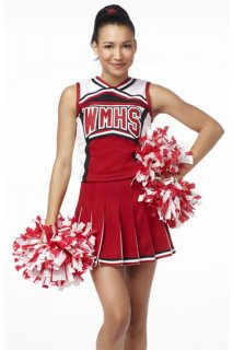 High School Cheerleader Costume
