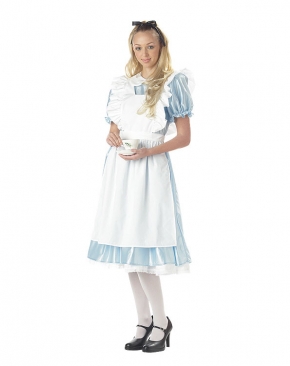 Delightful Alice in Wonderland Costume