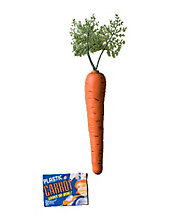 Plastic Carrot