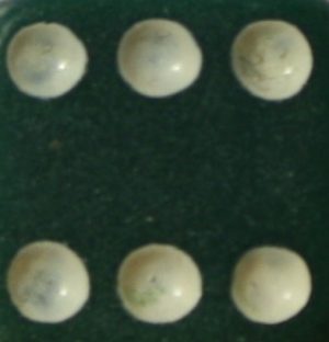 PARTS ONLY -Dark Green/White Board Game Die