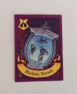 PARTS ONLY - Harry Potter Mystery at Hogwarts Board Game - (1) Madam Hooch Card Only