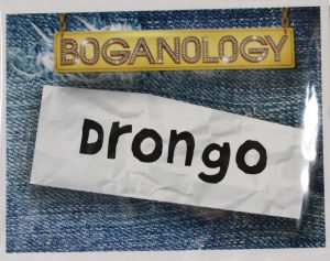 PARTS ONLY -Boganology Board Game Parts - (26) "Drongo" Cards Only