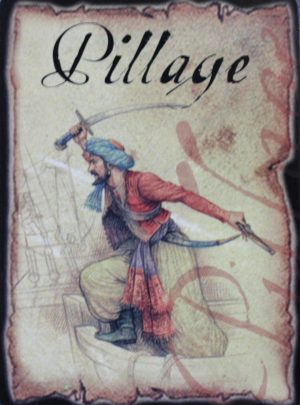 PARTS ONLY - Pirateology Board Game Parts - (1) "Pillage" Card Only
