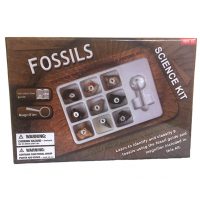 Fossils Science Kit - New